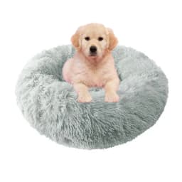 Caminha nova para aniversário do pet